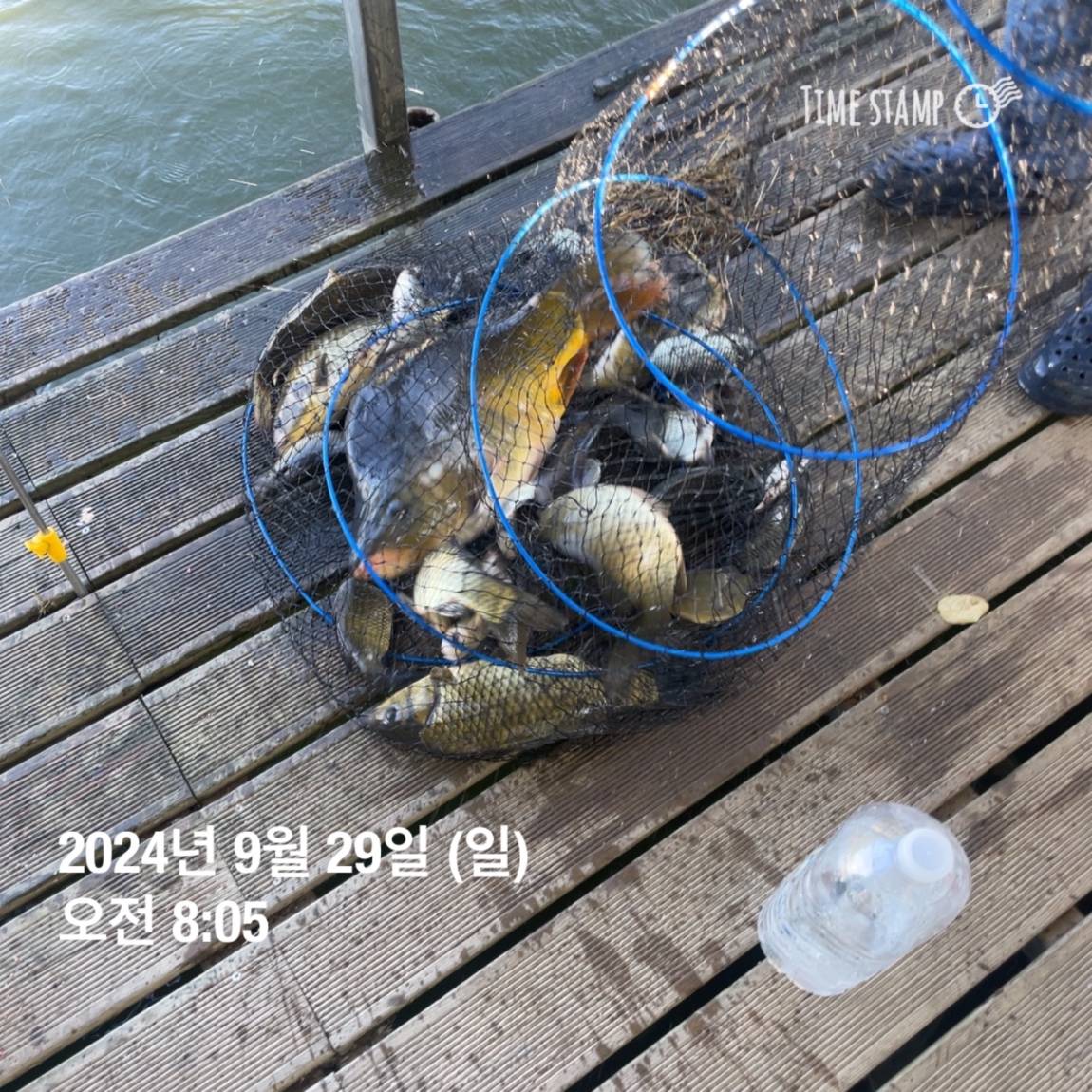 KakaoTalk_20241001_134517701_09.jpg
