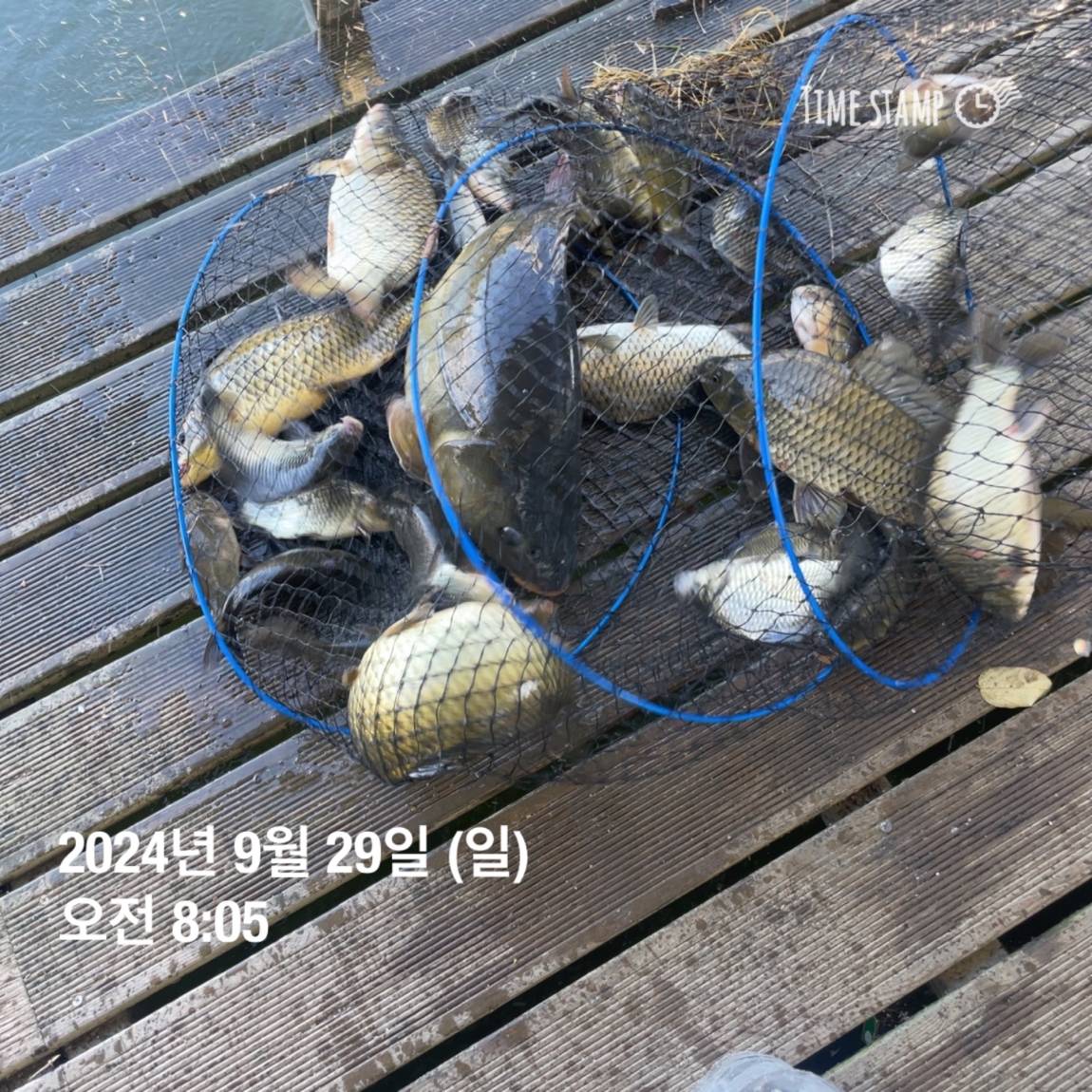 KakaoTalk_20241001_134517701_10.jpg