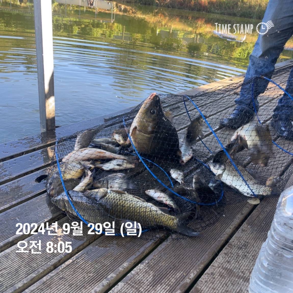 KakaoTalk_20241001_134517701_11.jpg