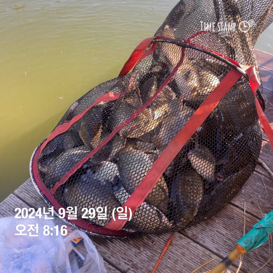 KakaoTalk_20241001_134517701_13.jpg