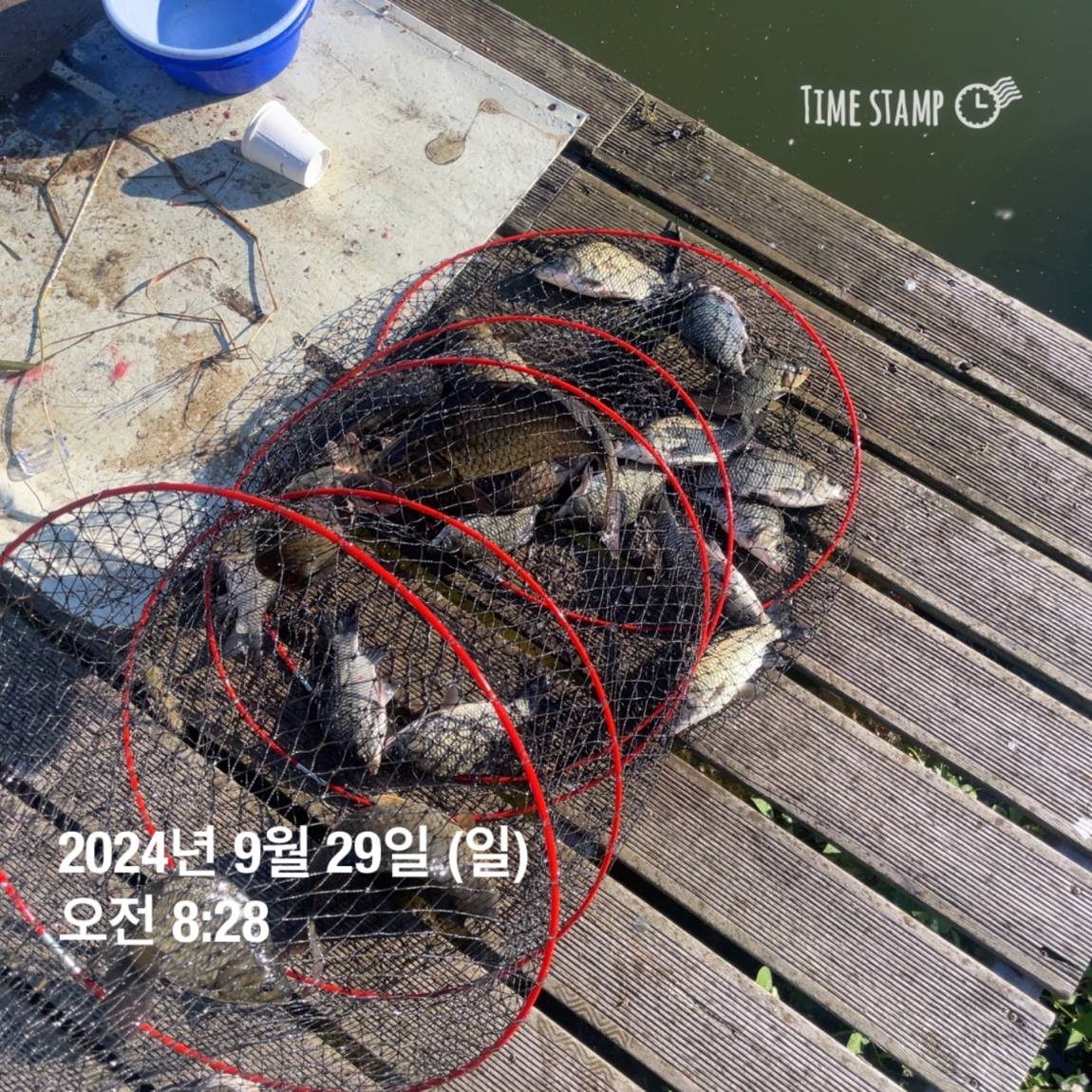 KakaoTalk_20241001_134517701_16.jpg