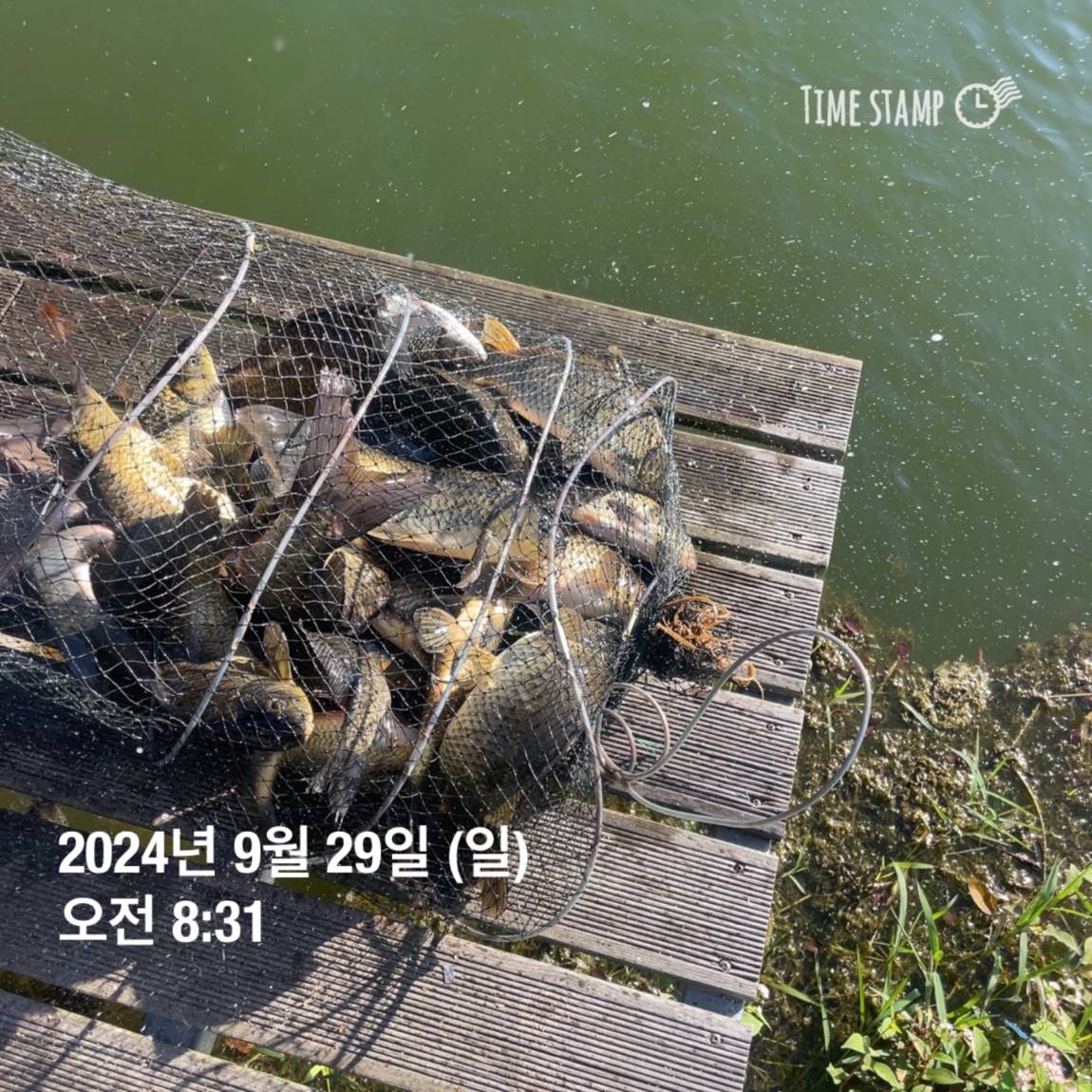 KakaoTalk_20241001_134517701_20.jpg