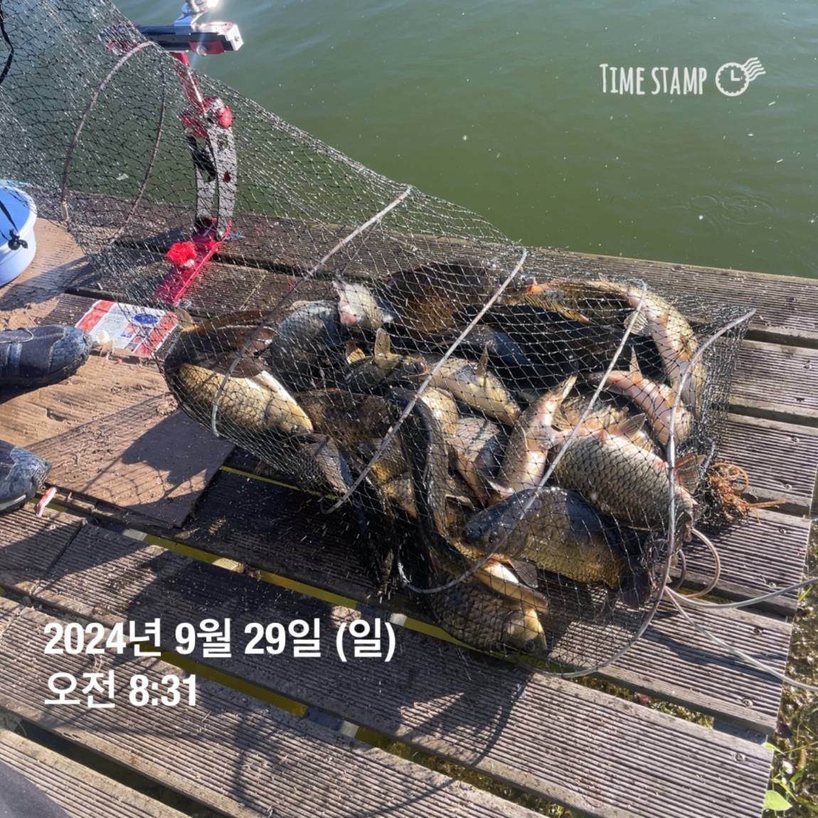 KakaoTalk_20241001_134517701_22.jpg