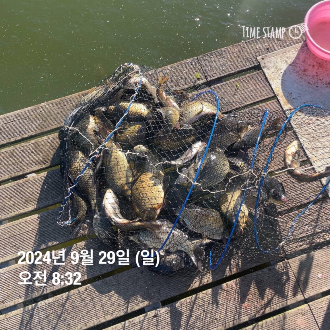 KakaoTalk_20241001_134517701_24.jpg