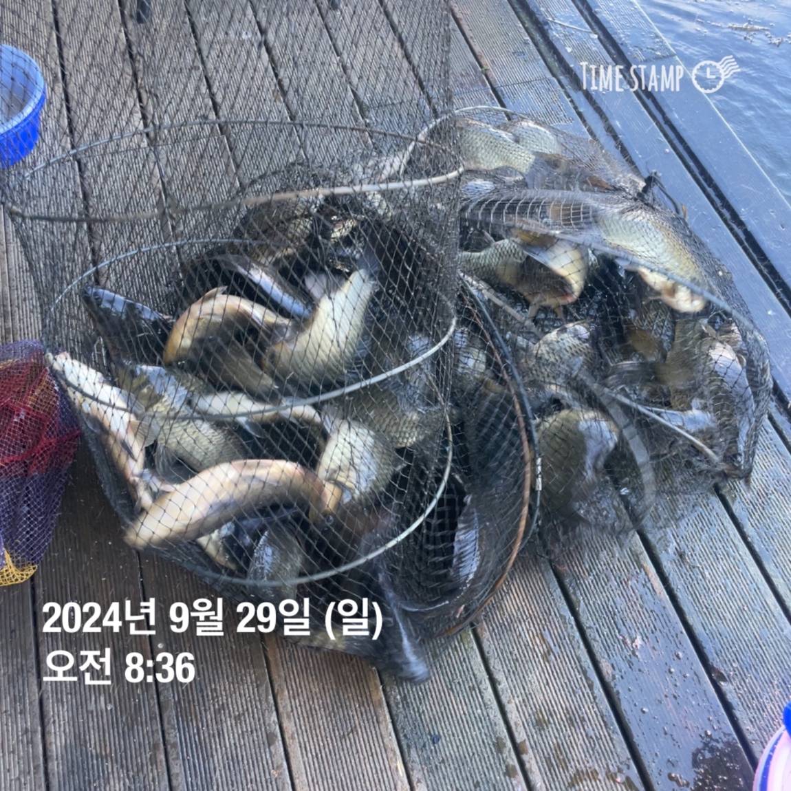 KakaoTalk_20241001_134517701_29.jpg