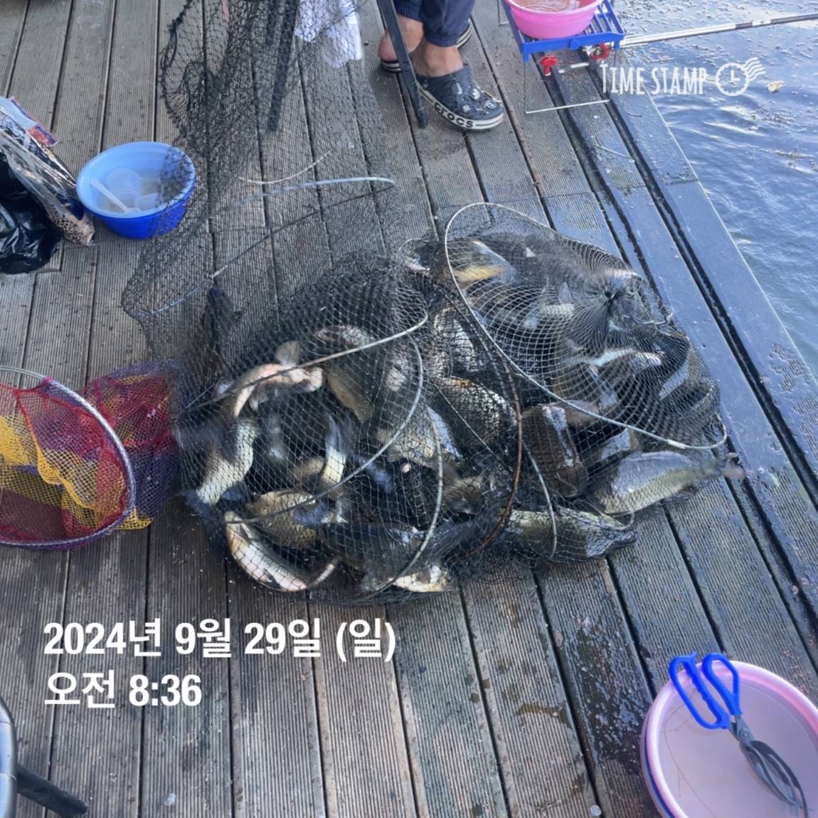 KakaoTalk_20241001_134517701_28.jpg