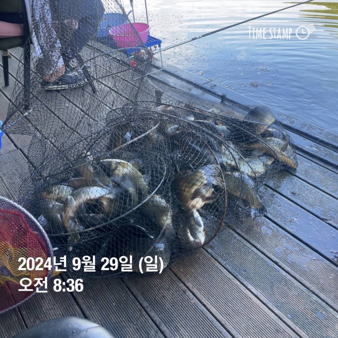 KakaoTalk_20241001_134607782.jpg