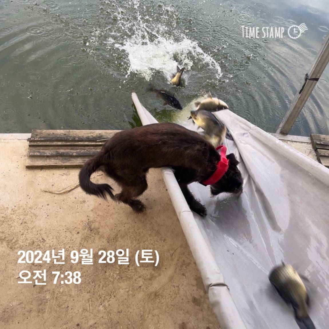 KakaoTalk_20241001_134607782_05.jpg