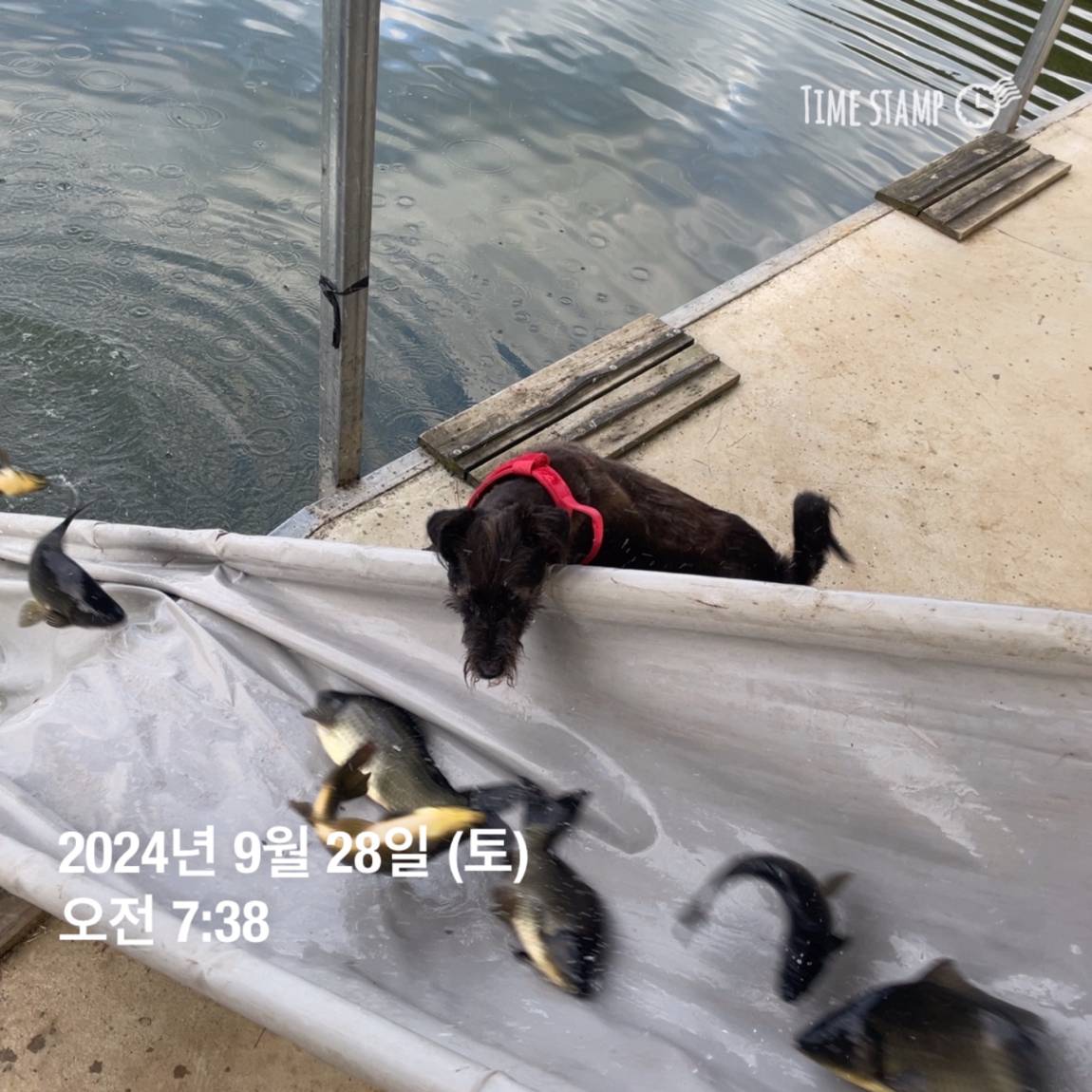 KakaoTalk_20241001_134607782_08.jpg