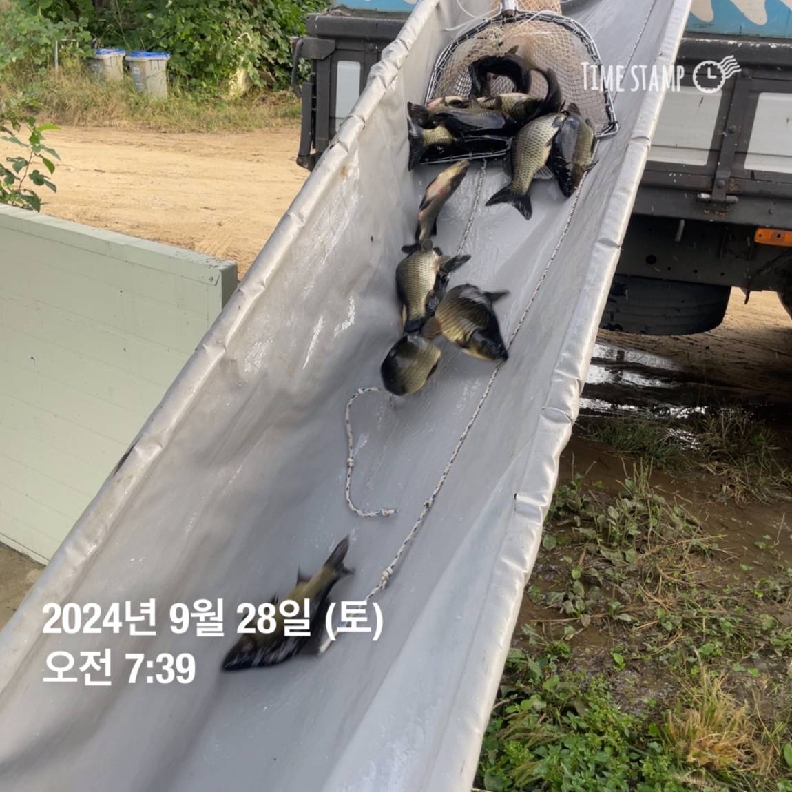 KakaoTalk_20241001_134607782_13.jpg