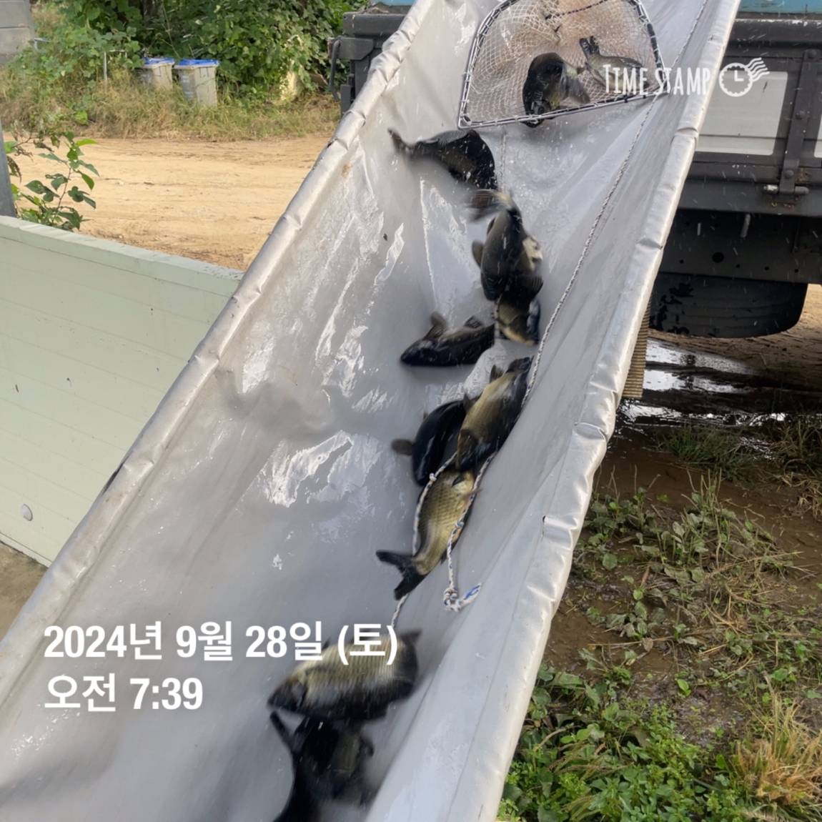 KakaoTalk_20241001_134607782_16.jpg