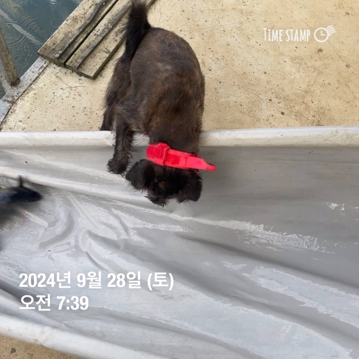KakaoTalk_20241001_134607782_14.jpg