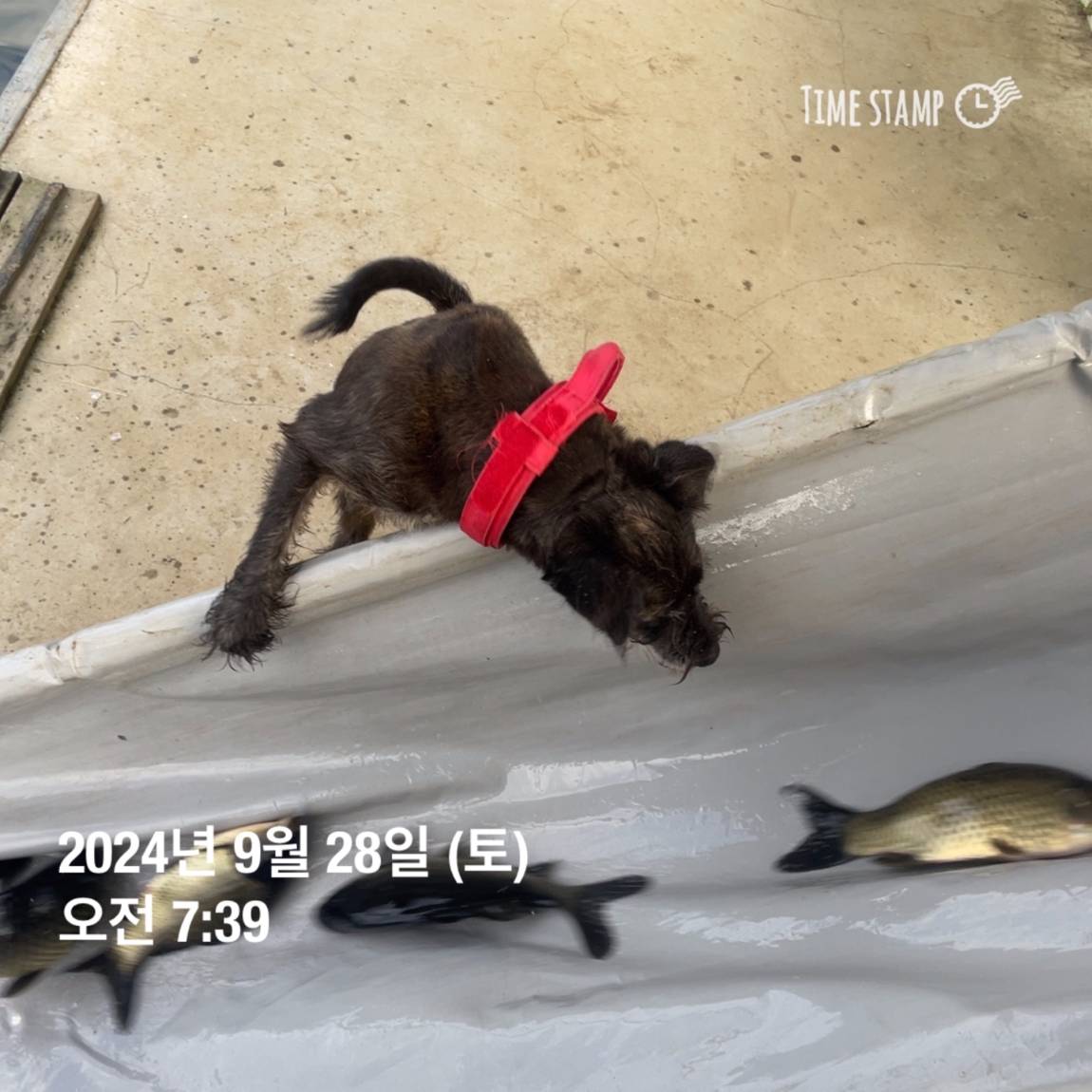 KakaoTalk_20241001_134607782_20.jpg