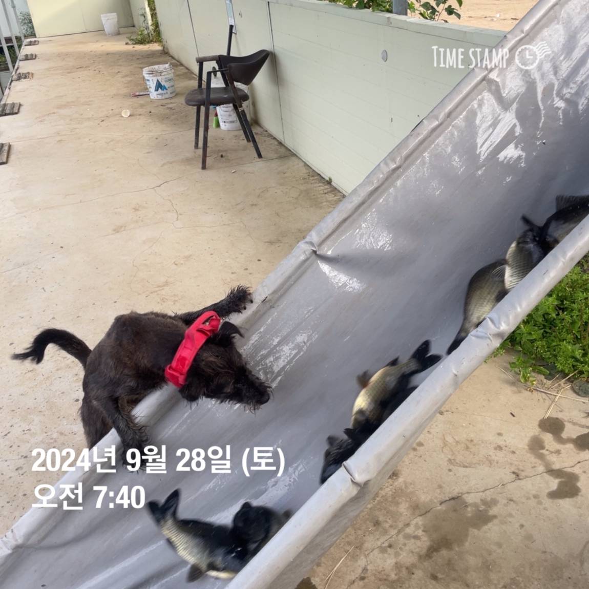 KakaoTalk_20241001_134607782_24.jpg