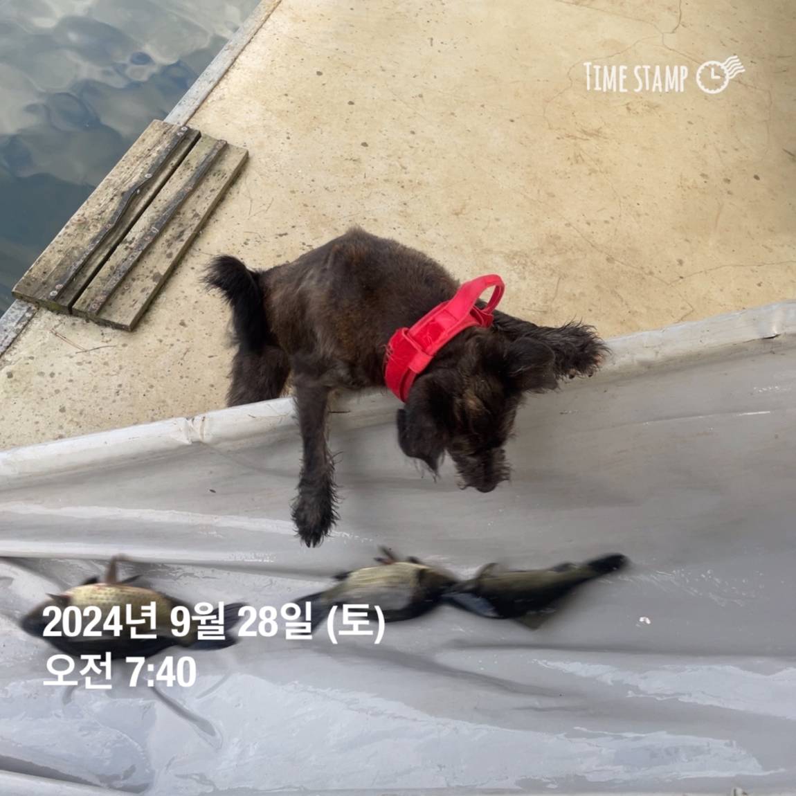 KakaoTalk_20241001_134607782_27.jpg