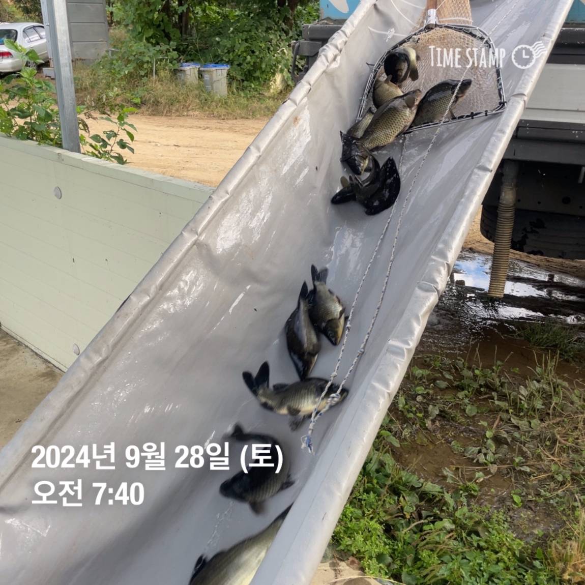KakaoTalk_20241001_134607782_26.jpg