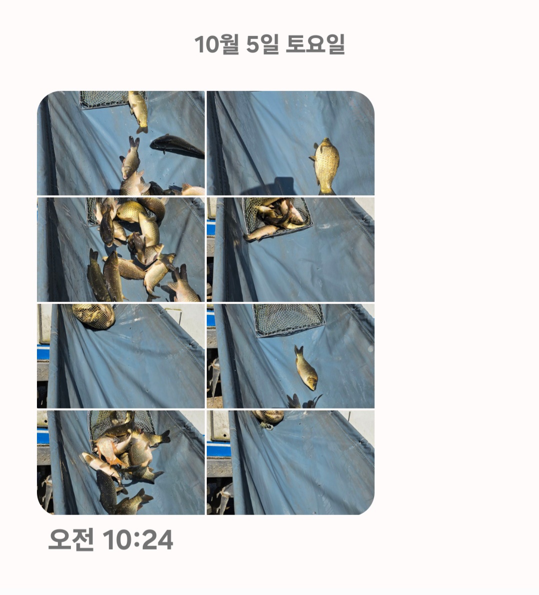 Screenshot_20241006_081346_Messages.jpg