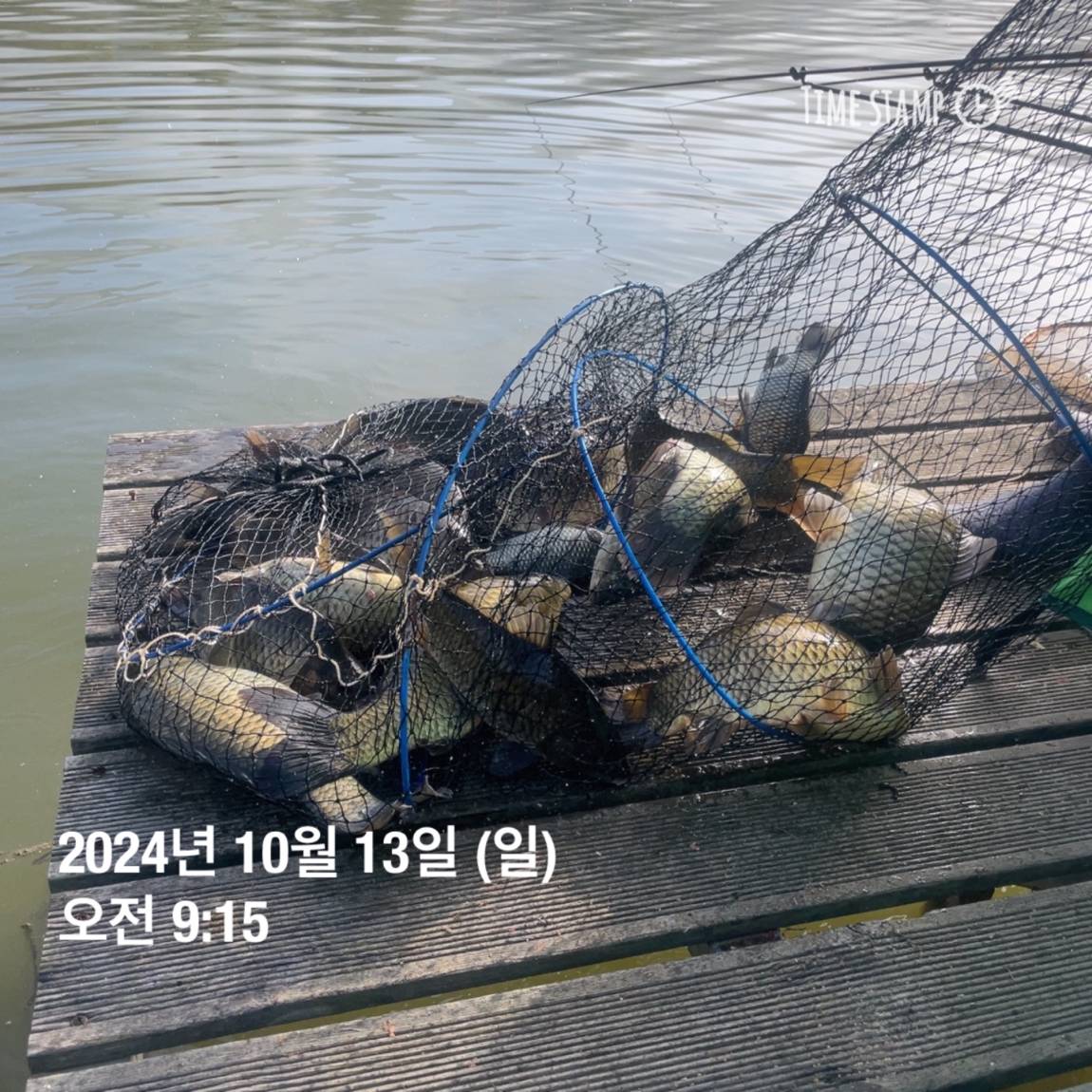 KakaoTalk_20241014_130558730_02.jpg