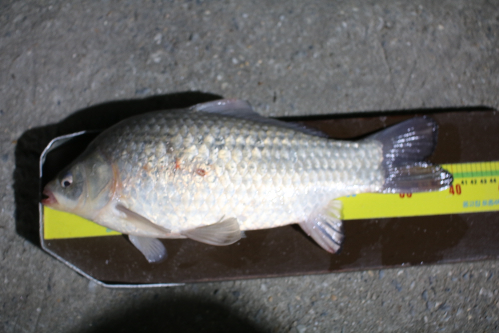 [ũ⺯ȯ]IMG_7621.JPG