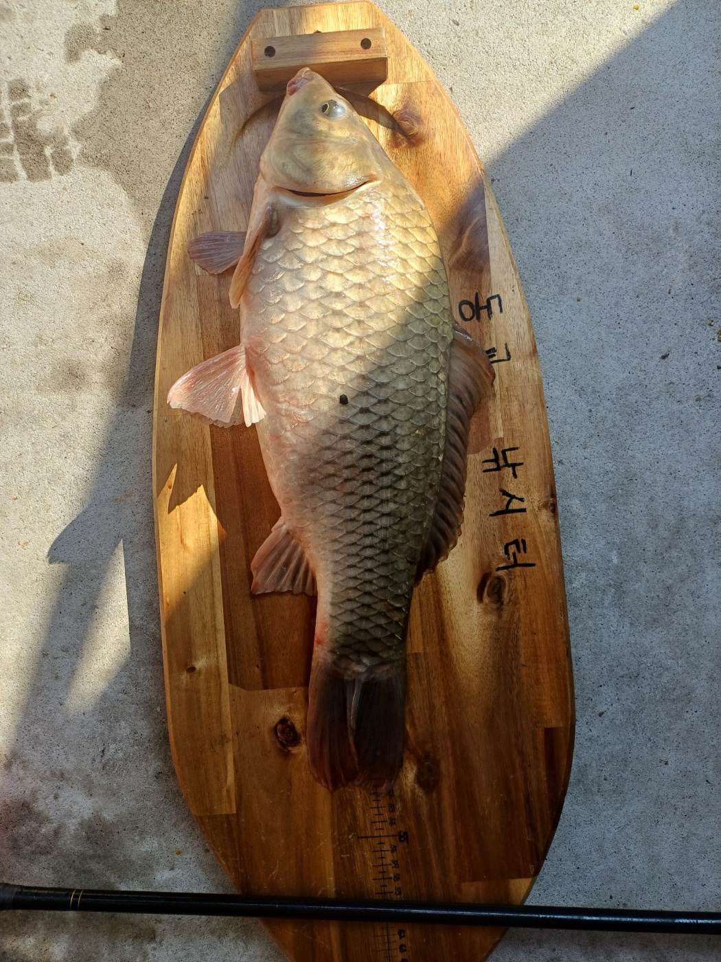 KakaoTalk_20241024_152431150_03.jpg