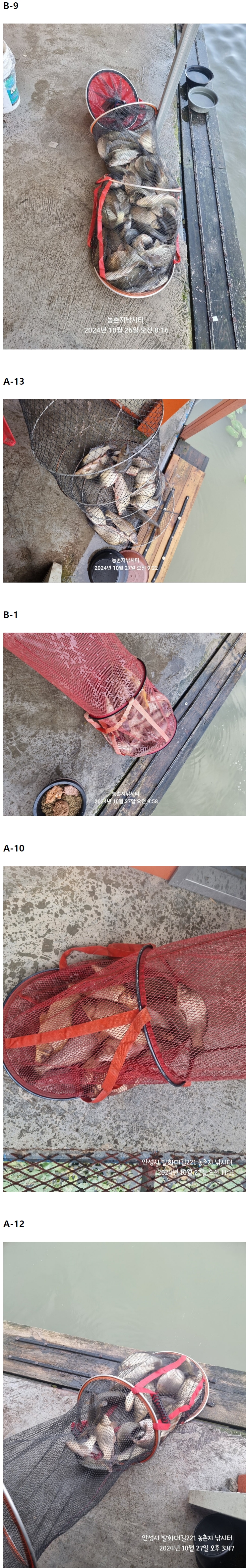 Åä 111.jpeg