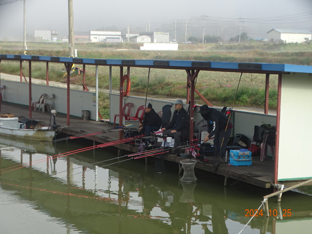 DSC08781.JPG