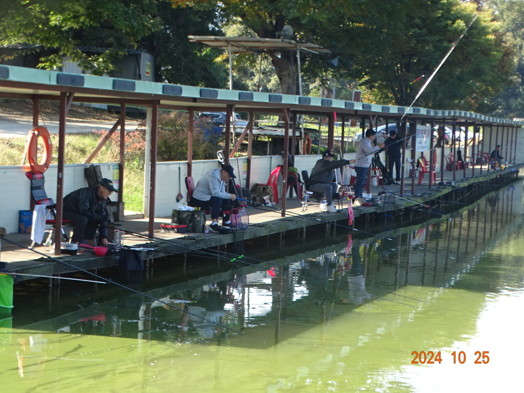 DSC08782.JPG