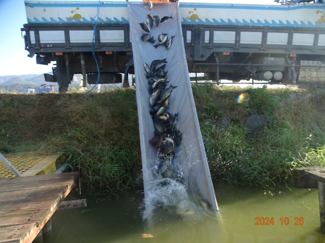 DSC08820.JPG
