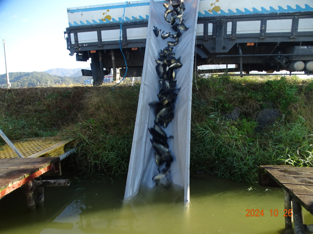 DSC08822.JPG
