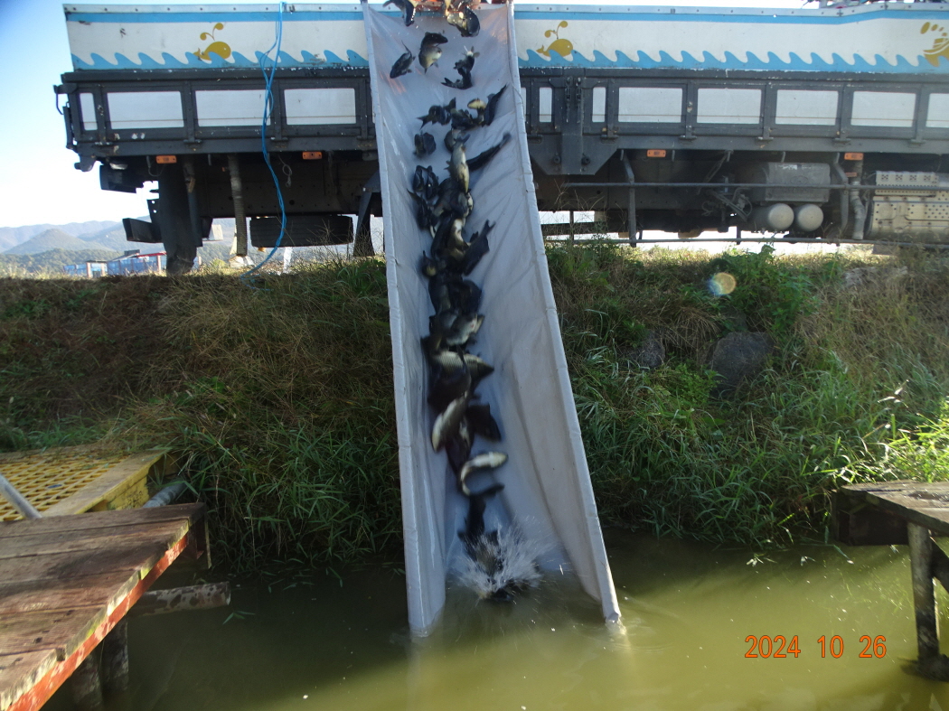 DSC08824.JPG