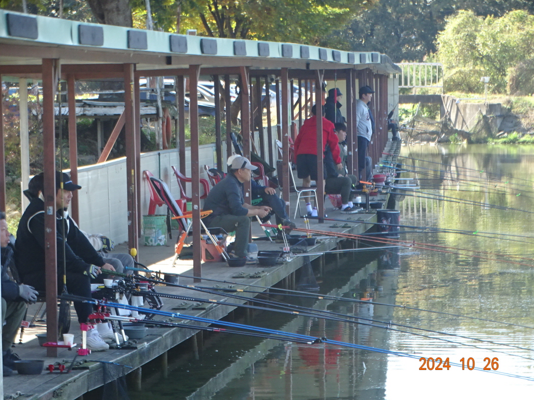 DSC08826.JPG