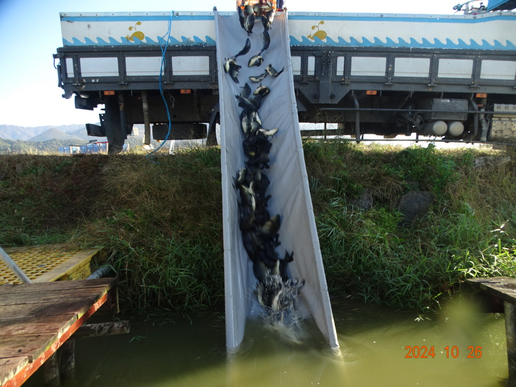 DSC08825.JPG