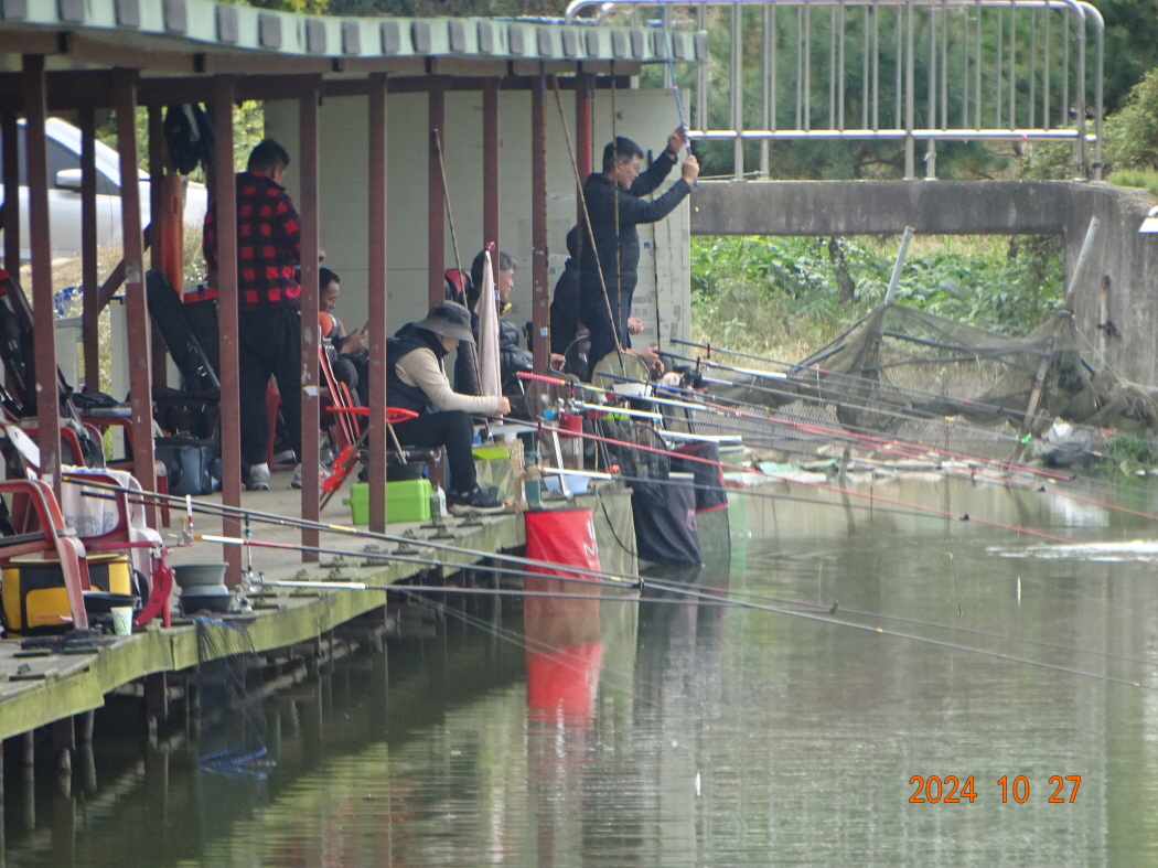 DSC08891.JPG