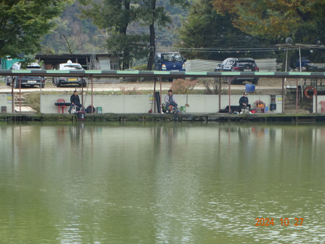 DSC08889.JPG