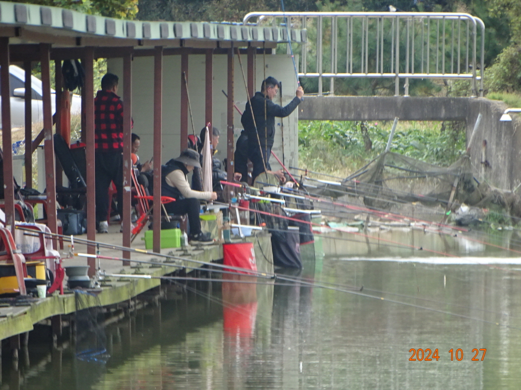 DSC08892.JPG