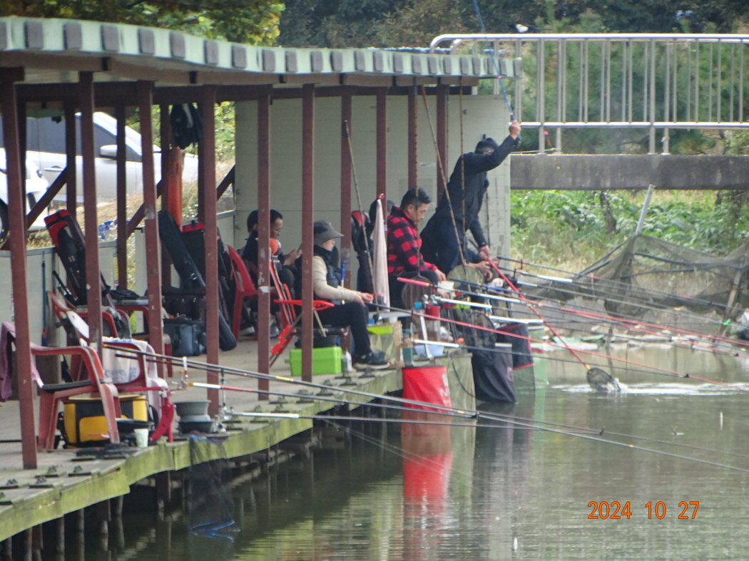 DSC08893.JPG