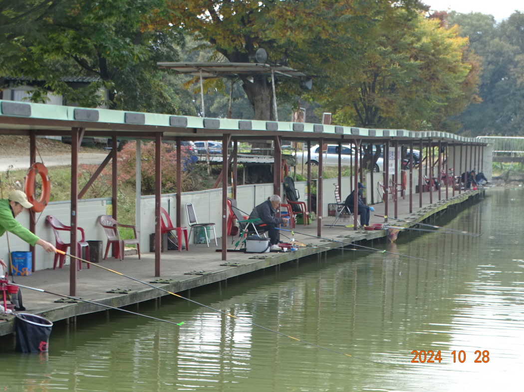 DSC08894.JPG