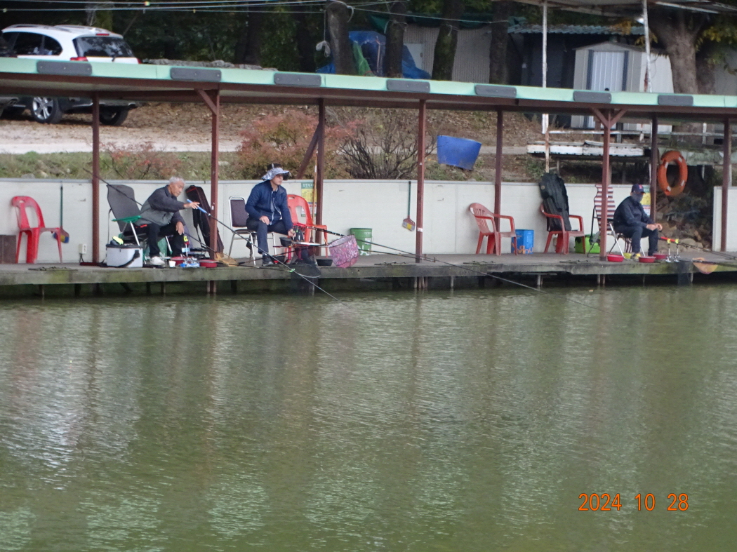 DSC08910.JPG