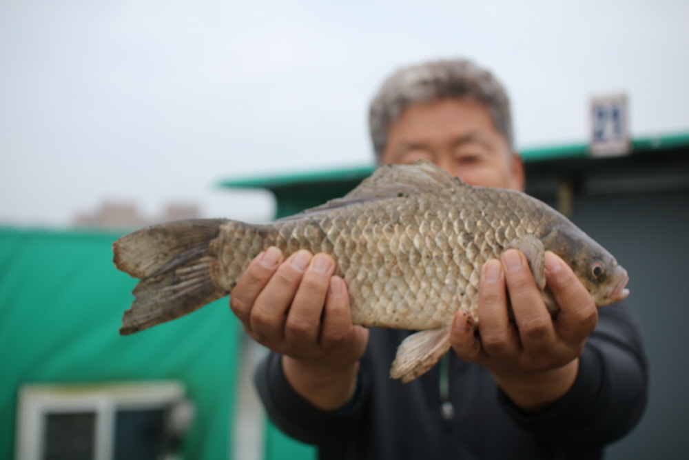 [ũ⺯ȯ]IMG_7973.JPG