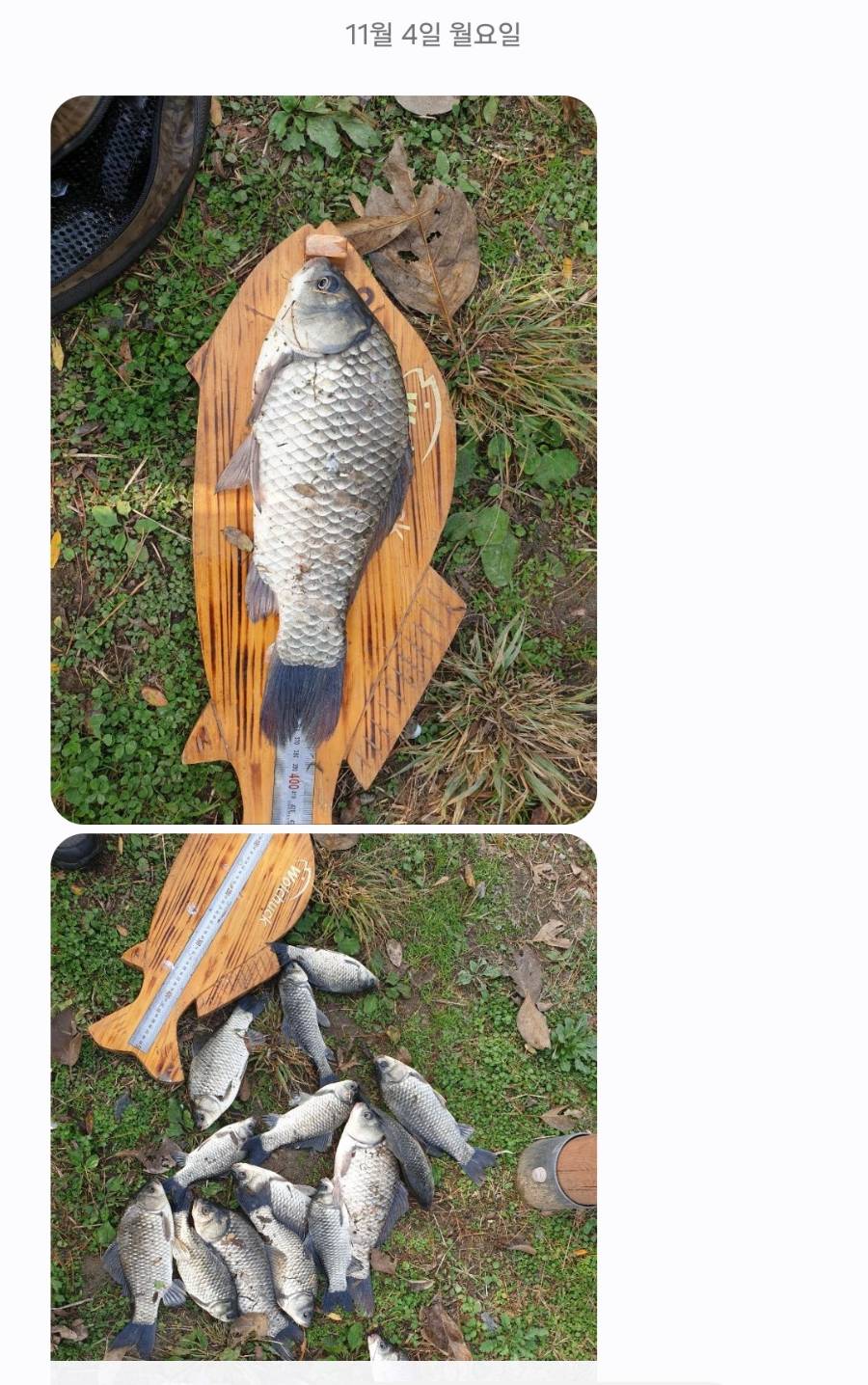 Screenshot_20241107_115322_Messages.jpg