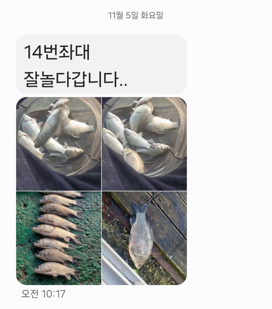 Screenshot_20241107_115358_Messages.jpg
