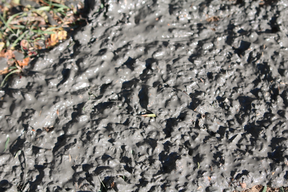 [ũ⺯ȯ]IMG_8308.JPG
