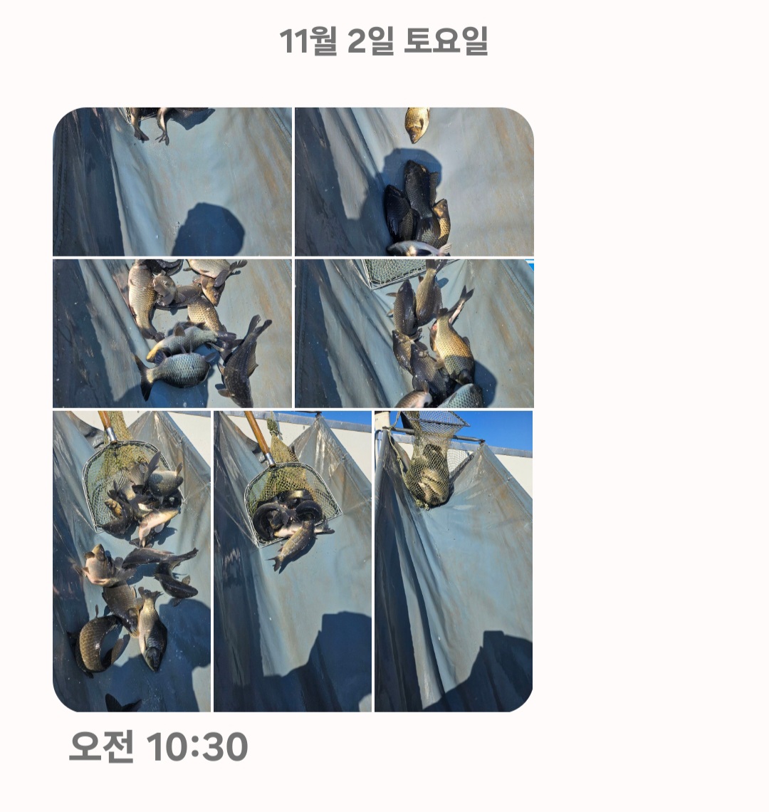 1000002805.jpg