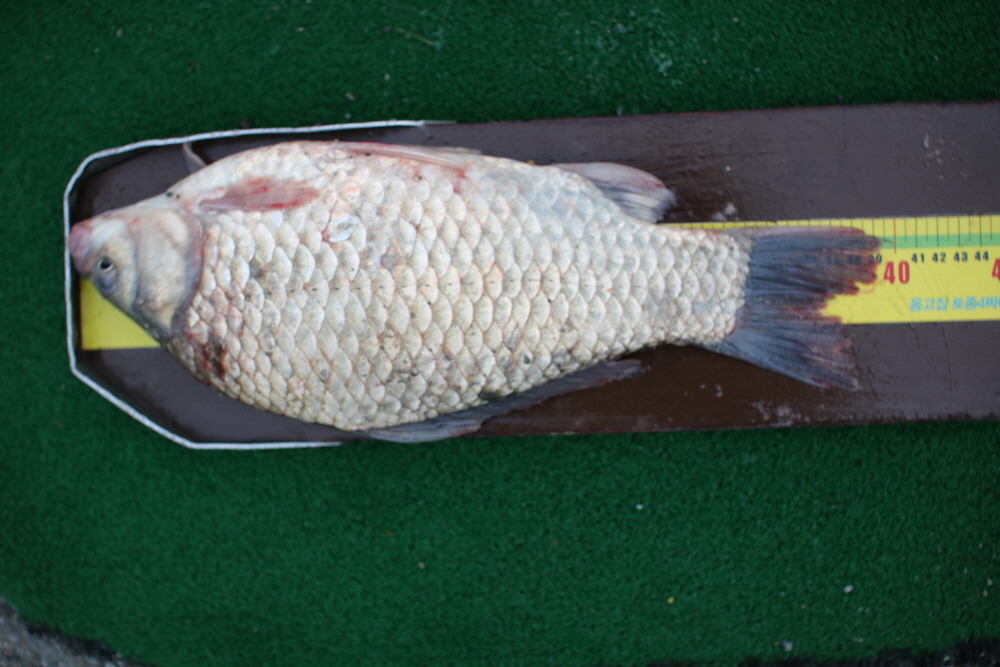 [ũ⺯ȯ]IMG_8633.JPG