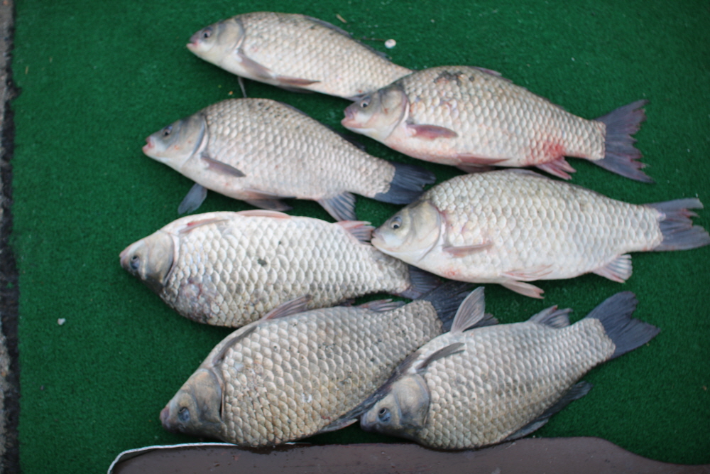 [ũ⺯ȯ]IMG_8653.JPG