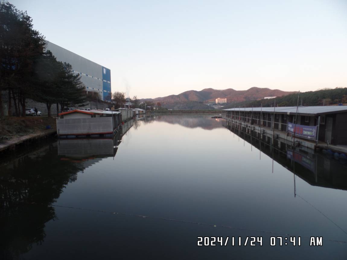 SAM_0655.JPG