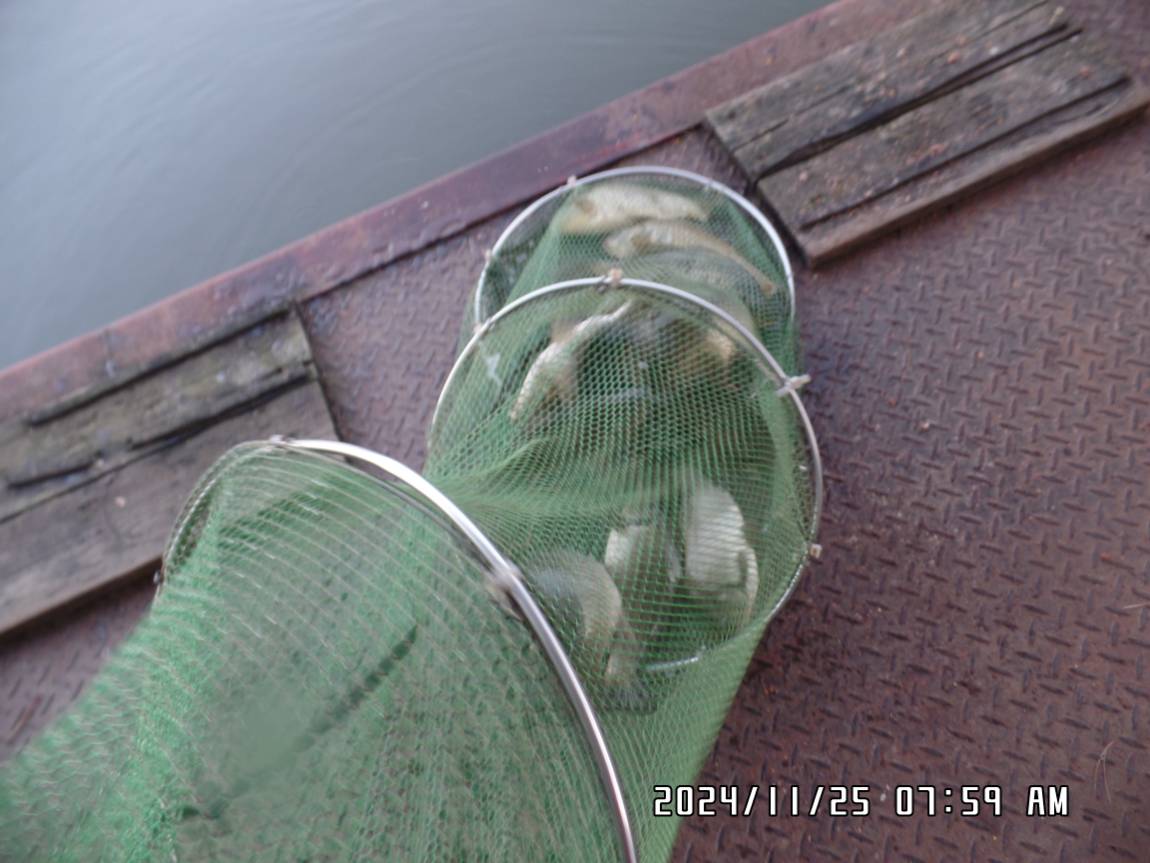 SAM_0718.JPG