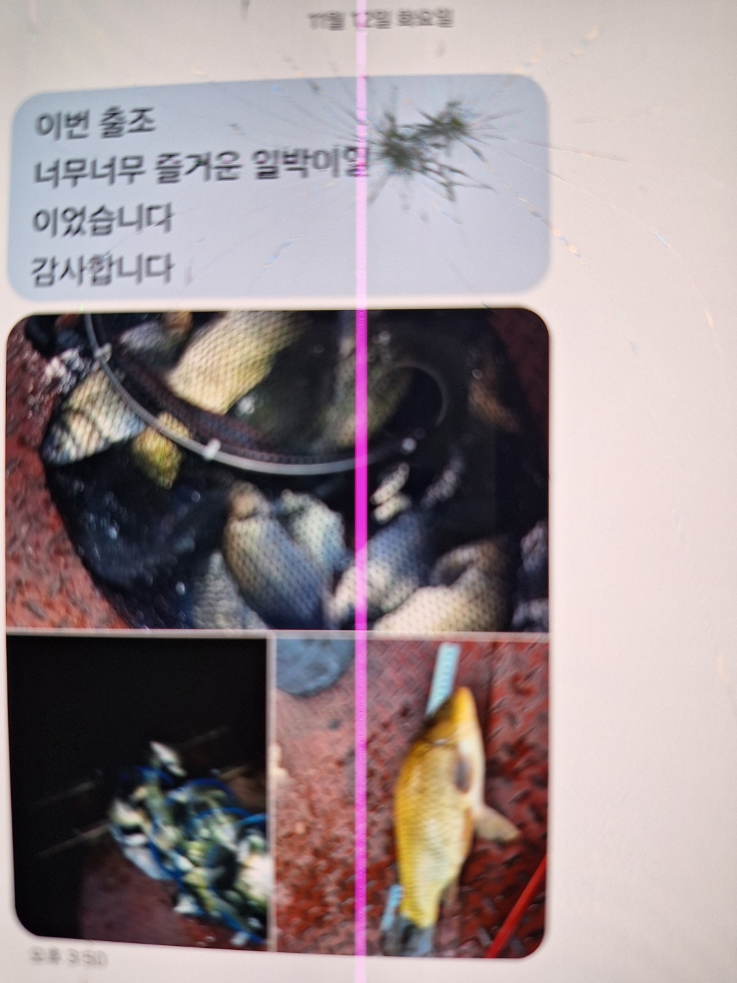 KakaoTalk_20241125_092346765.jpg