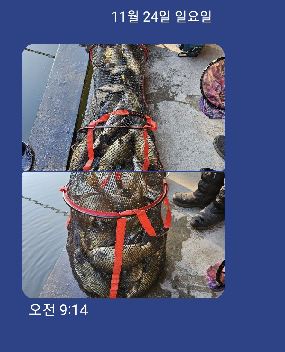 KakaoTalk_20241124_092533691.jpg
