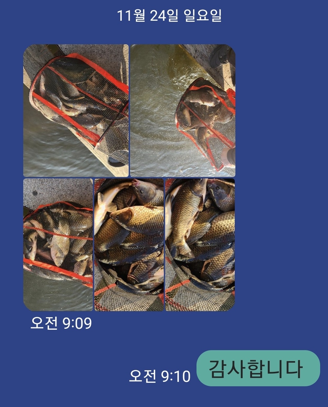 KakaoTalk_20241124_092616431.jpg